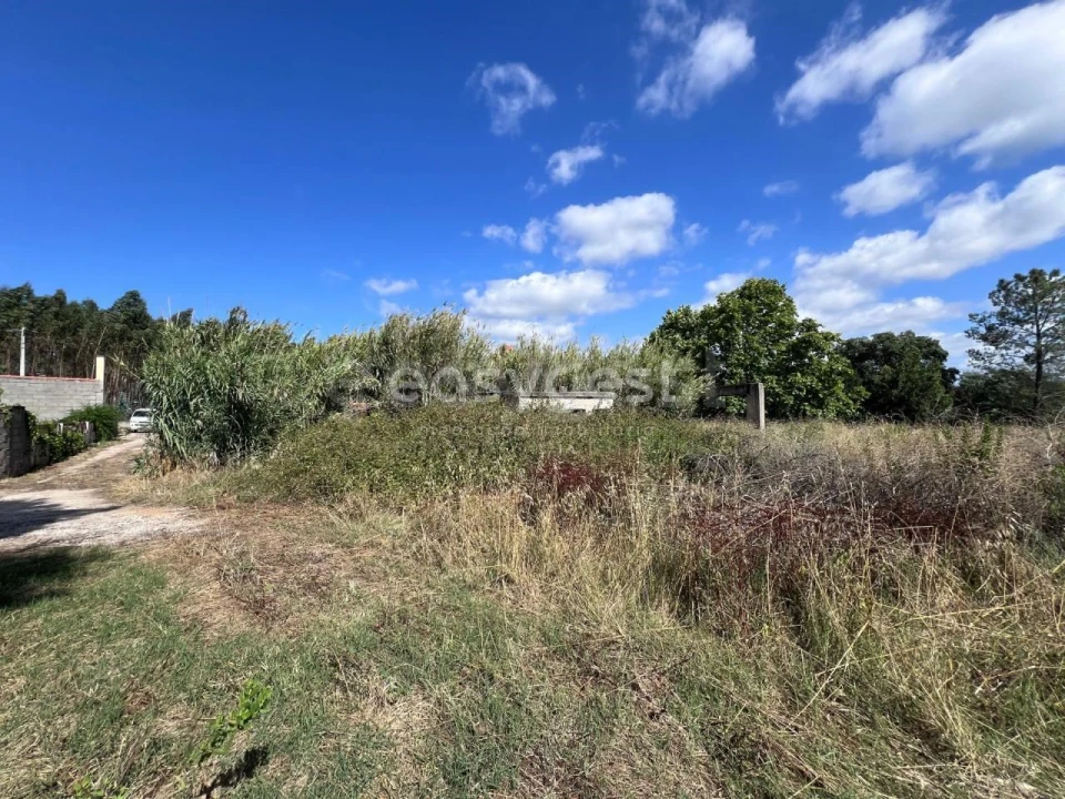 Terreno para Venda em Nossa Sra de Fatima Foto 11