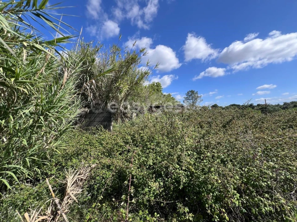 Terreno para Venda em Nossa Sra de Fatima Foto 12