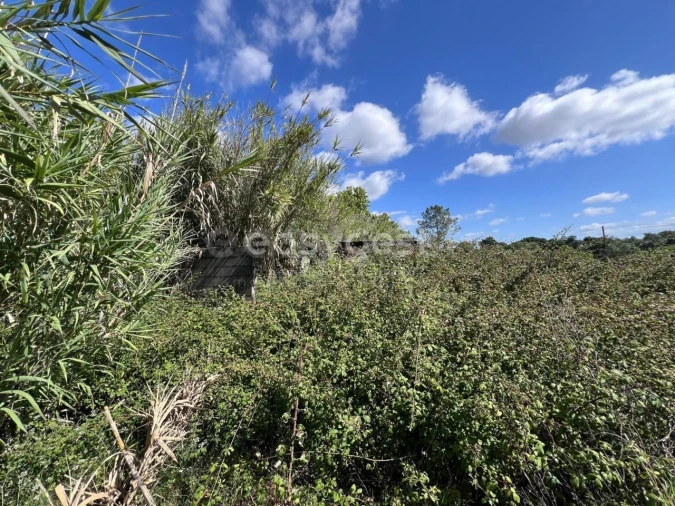 Terreno para Venda em Nossa Sra de Fatima Foto 12