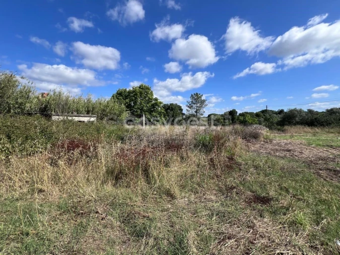 Terreno para Venda em Nossa Sra de Fatima Foto 13