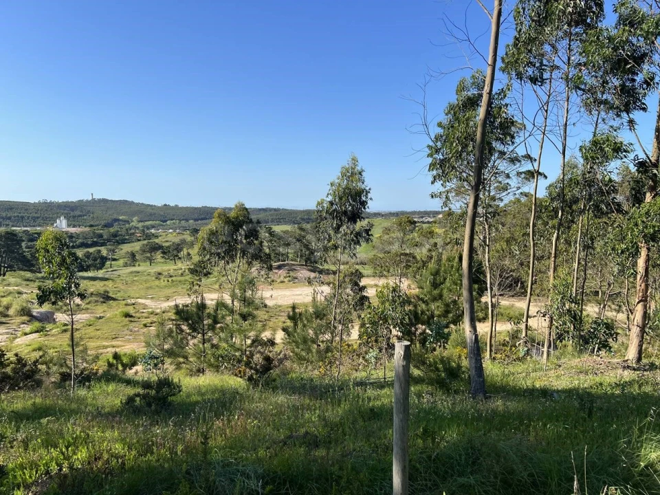 Terreno para Venda em Santa Maria, São Pedro e Matacães Foto 2