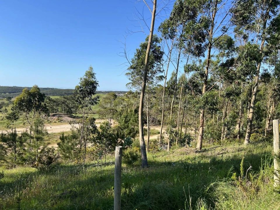 Terreno para Venda em Santa Maria, São Pedro e Matacães Foto 5