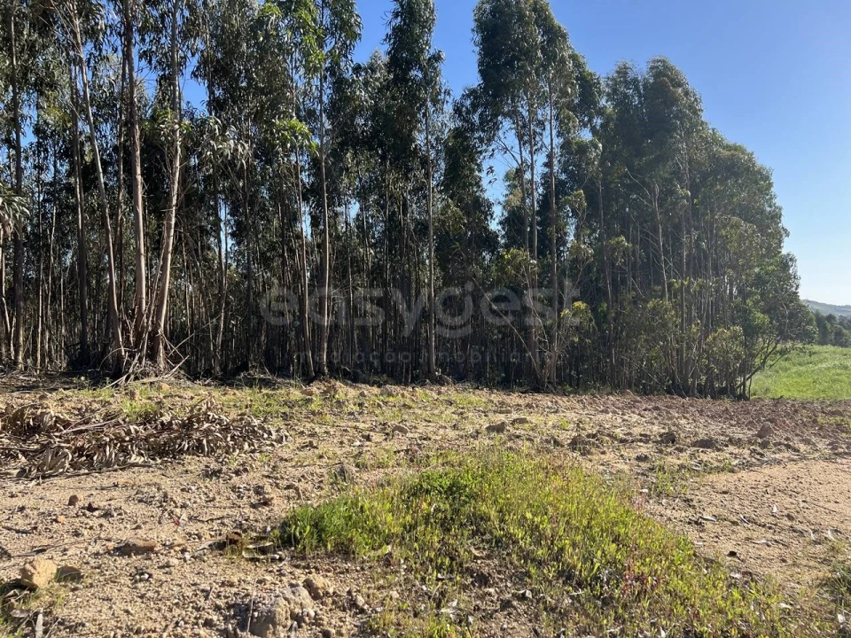 Terreno para Venda em Santa Maria, São Pedro e Matacães Foto 6