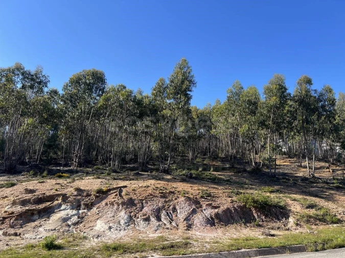 Terreno para Venda em Santa Maria, São Pedro e Matacães Foto 4