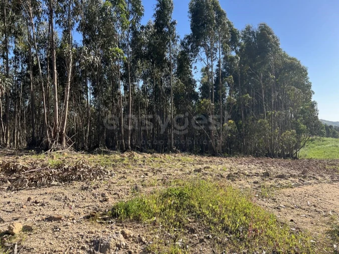 Terreno para Venda em Santa Maria, São Pedro e Matacães Foto 6