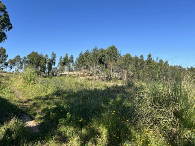Terreno para Venda em Santa Maria, São Pedro e Matacães Foto 11