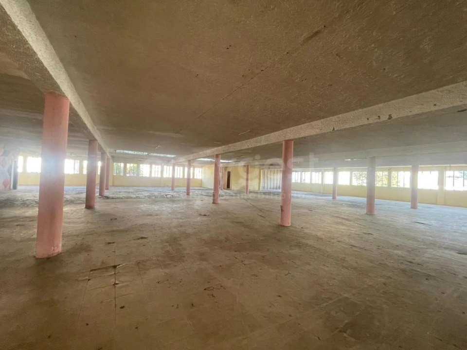 Armazém para Venda em Mangualde, Mesquitela e Cunha Alta Foto 14