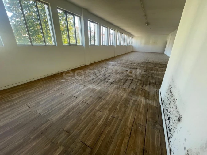 Armazém para Venda em Mangualde, Mesquitela e Cunha Alta Foto 4