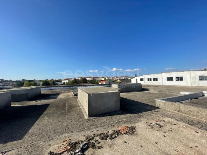 Armazém para Venda em Mangualde, Mesquitela e Cunha Alta Foto 30