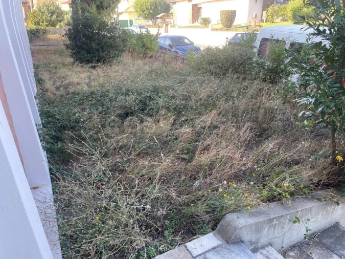 Armazém para Venda em Mangualde, Mesquitela e Cunha Alta Foto 32