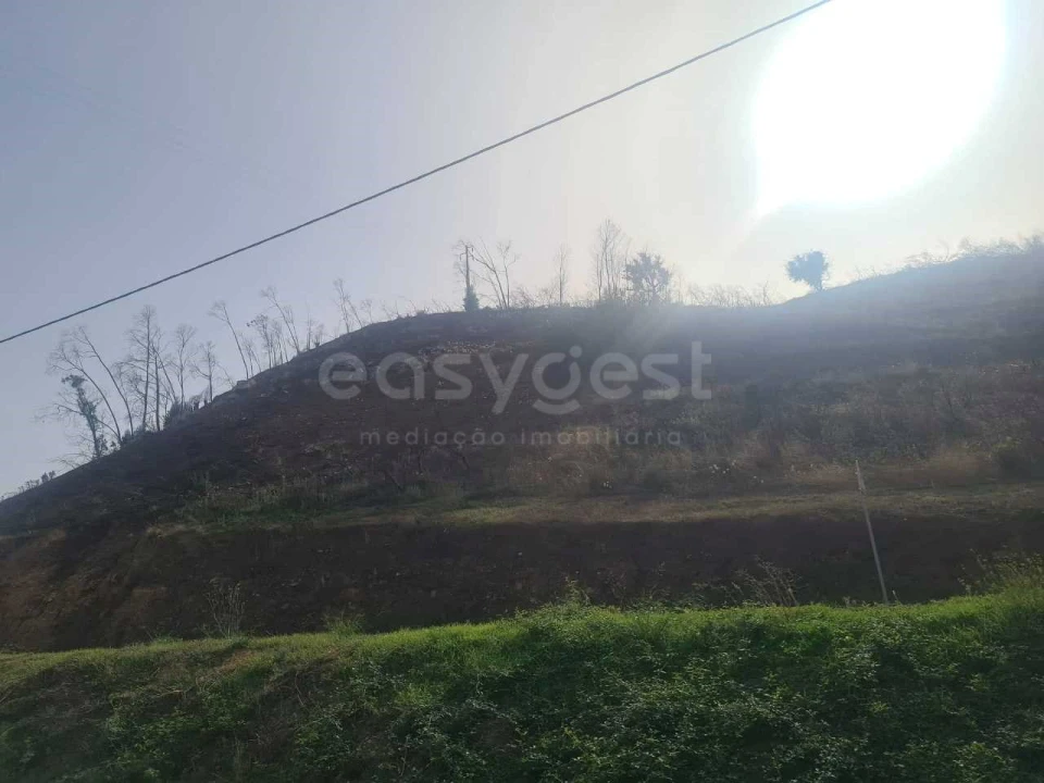 Terreno Agricola ou Rústico para Venda em Portimão Foto 2