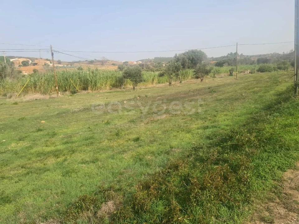 Terreno Agricola ou Rústico para Venda em Portimão Foto 3