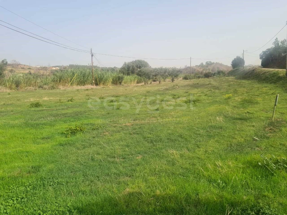 Terreno Agricola ou Rústico para Venda em Portimão Foto 4