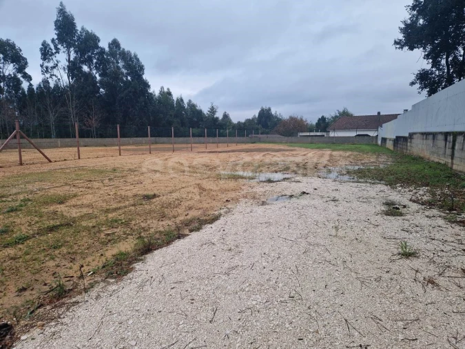 Moradia T3 para Venda em Arcos e Mogofores Foto 13