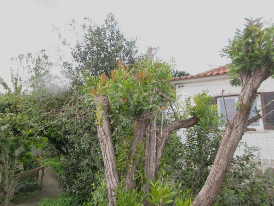 Moradia T4 para Venda em Rio de Mouro Foto 8