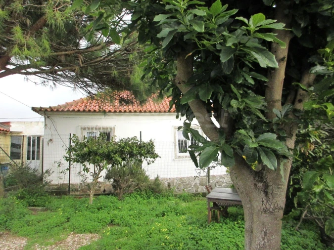 Moradia T4 para Venda em Rio de Mouro Foto 4