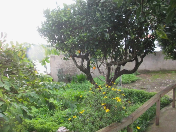 Moradia T4 para Venda em Rio de Mouro Foto 7