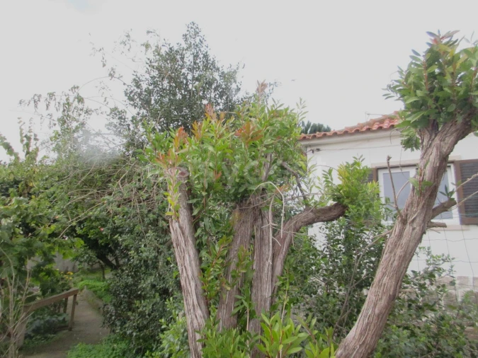 Moradia T4 para Venda em Rio de Mouro Foto 8