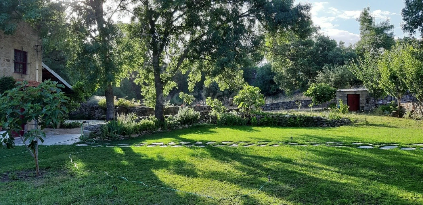 Quinta T5 para Venda em Alcains Foto 2