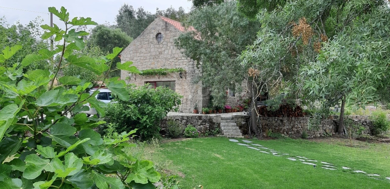 Quinta T5 para Venda em Alcains Foto 6