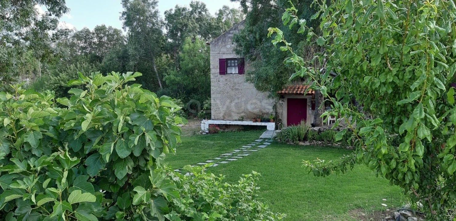 Quinta T5 para Venda em Alcains Foto 7