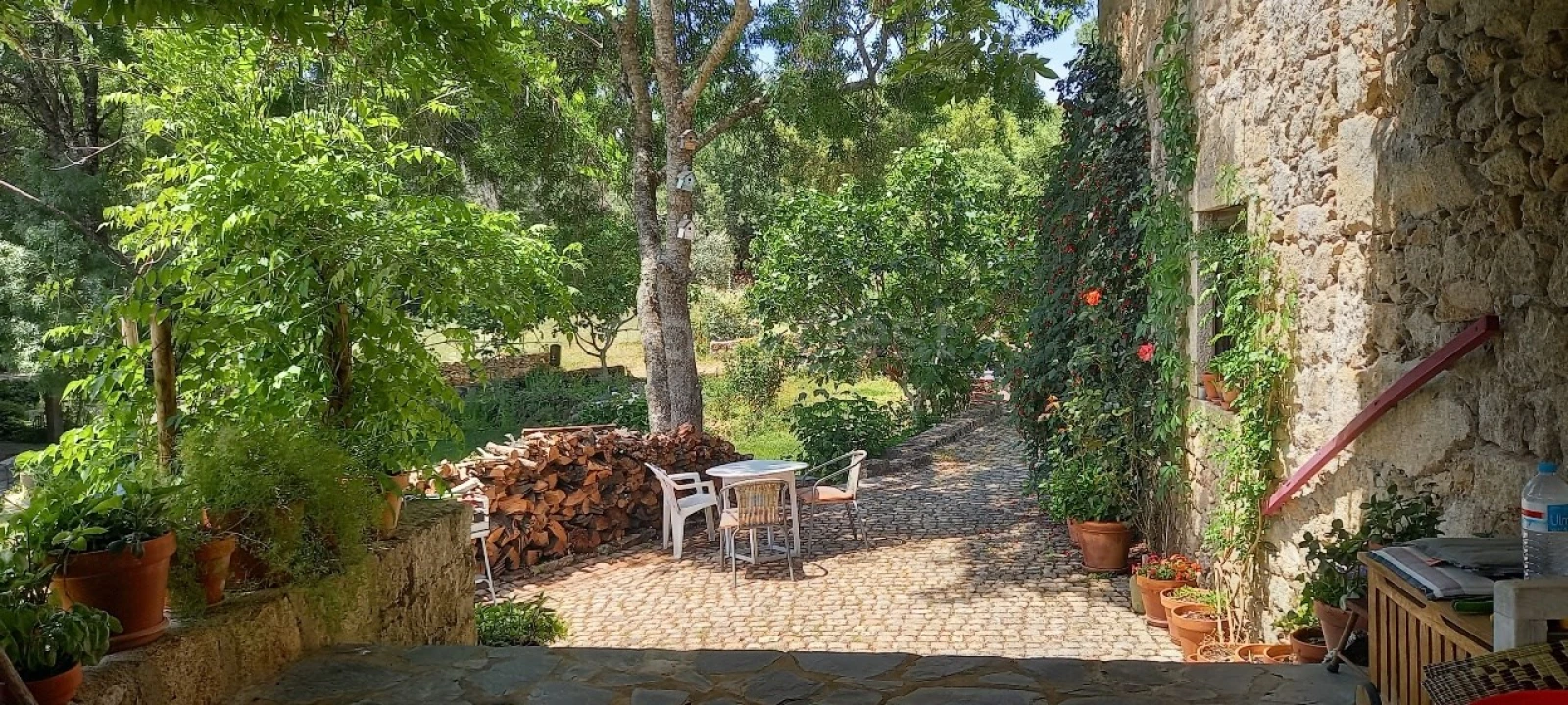 Quinta T5 para Venda em Alcains Foto 24