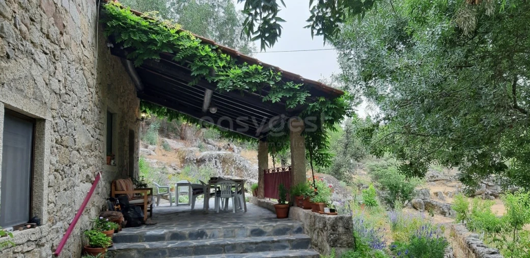 Quinta T5 para Venda em Alcains Foto 5