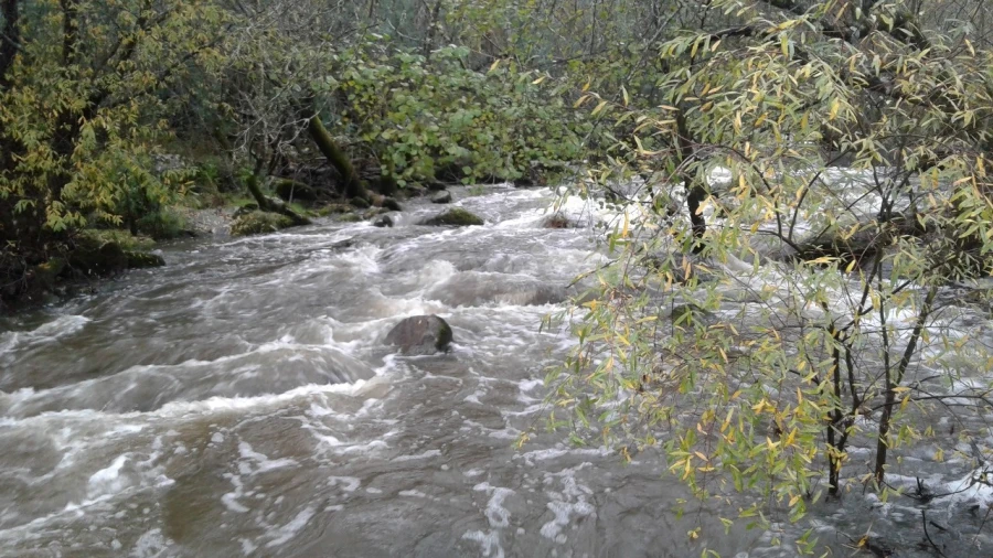 Quinta T5 para Venda em Alcains Foto 8