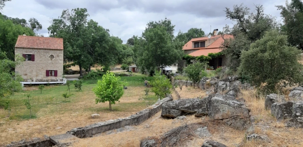 Quinta T5 para Venda em Alcains Foto 23