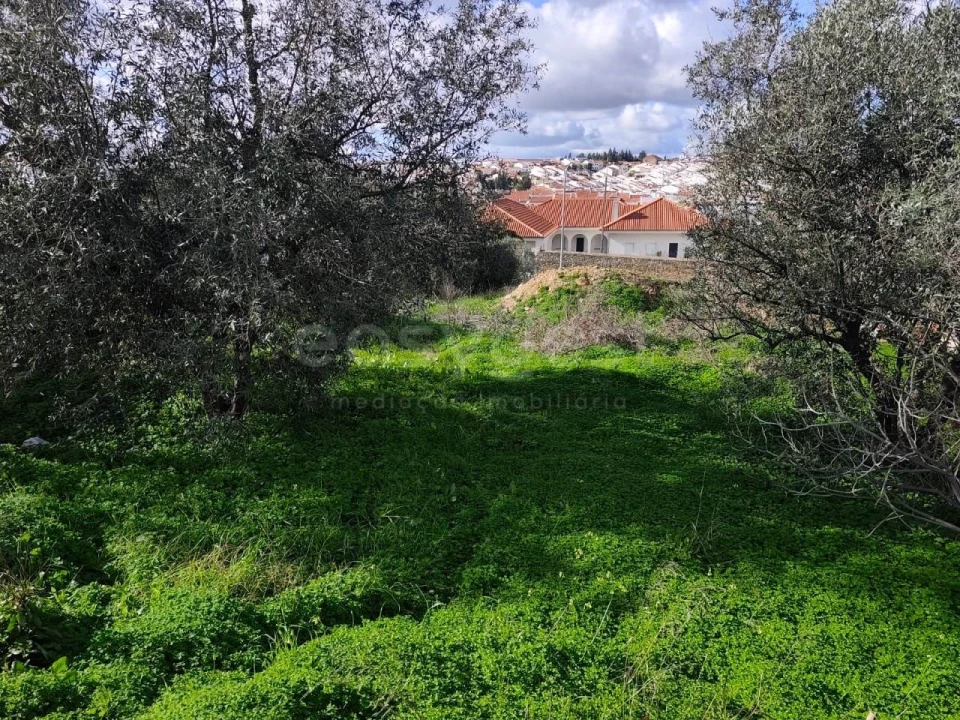 Terreno para Venda em Aljustrel e Rio de Moinhos Foto 1