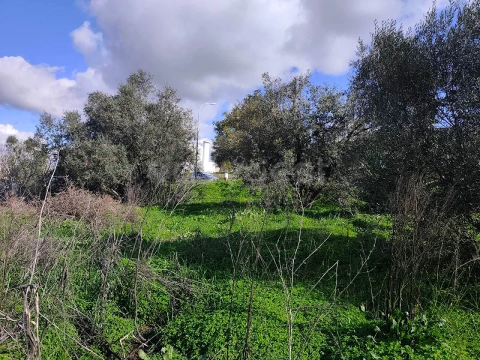 Terreno para Venda em Aljustrel e Rio de Moinhos Foto 11