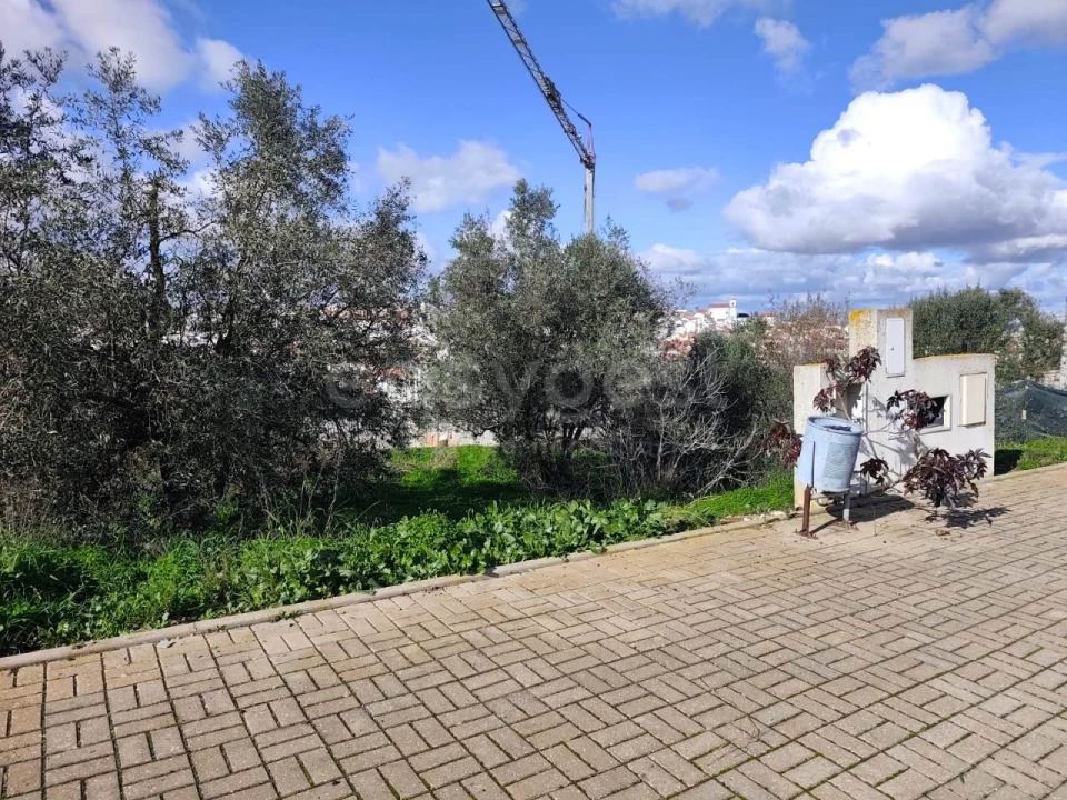 Terreno para Venda em Aljustrel e Rio de Moinhos Foto 14