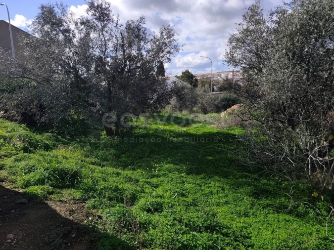 Terreno para Venda em Aljustrel e Rio de Moinhos Foto 7