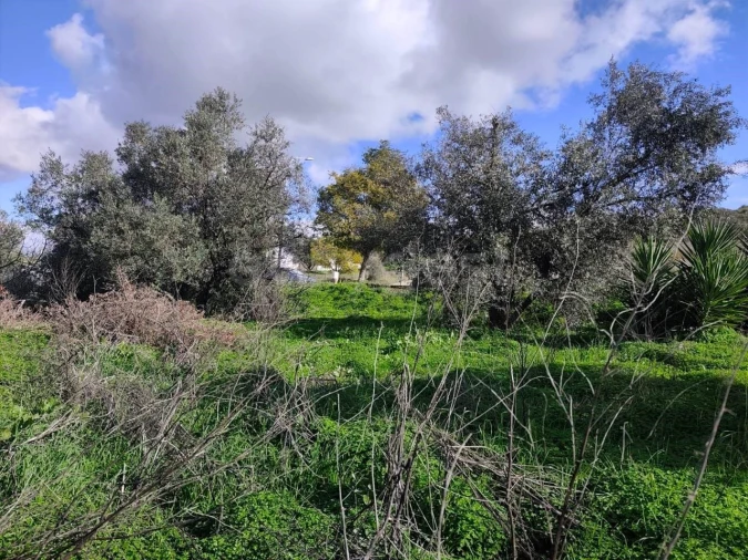 Terreno para Venda em Aljustrel e Rio de Moinhos Foto 10