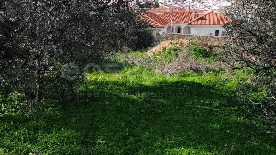 Terreno para Venda em Aljustrel e Rio de Moinhos