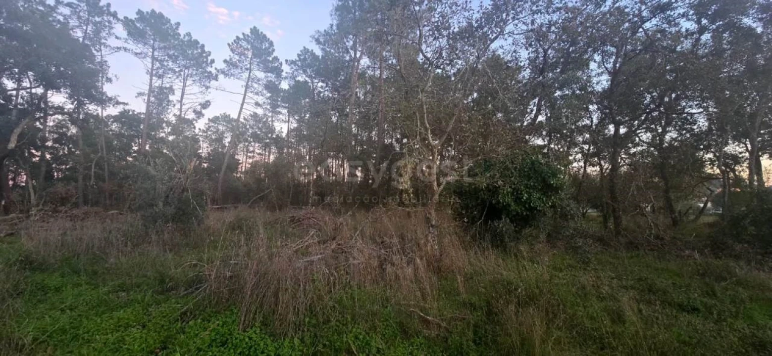 Terreno para Venda em Souto da Carpalhosa e Ortigosa Foto 5