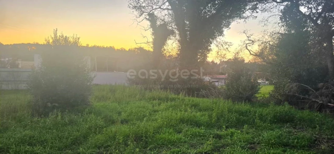 Terreno para Venda em Souto da Carpalhosa e Ortigosa Foto 4