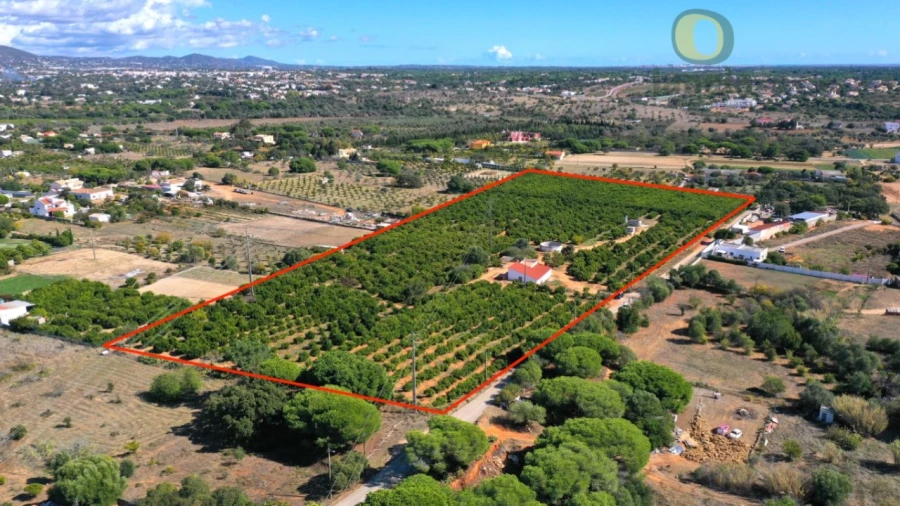 Terreno para Venda em Quarteira Foto 14