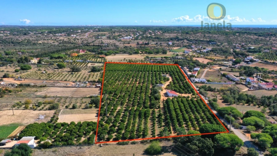 Terreno para Venda em Quarteira Foto 17