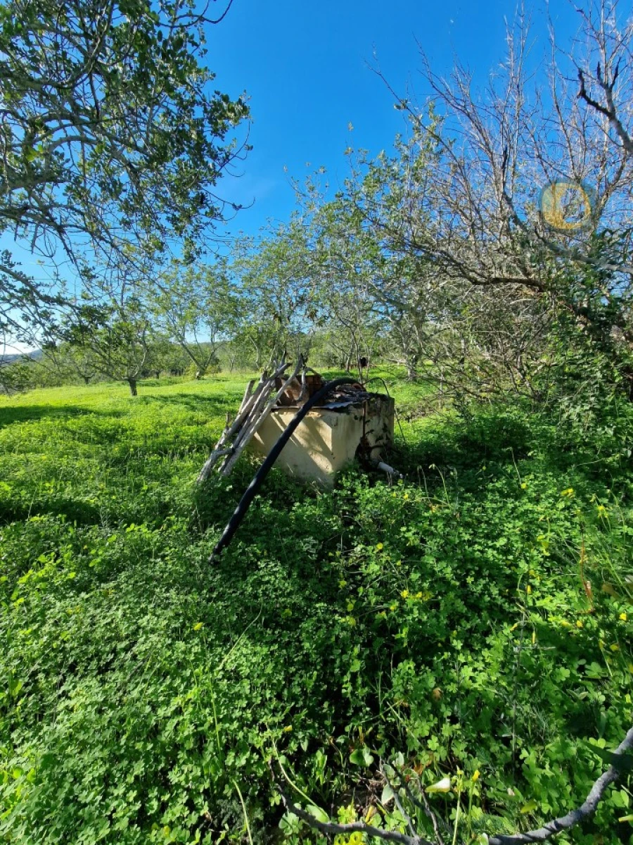 Moradia T1 para Venda em Santa Barbara de Nexe Foto 9