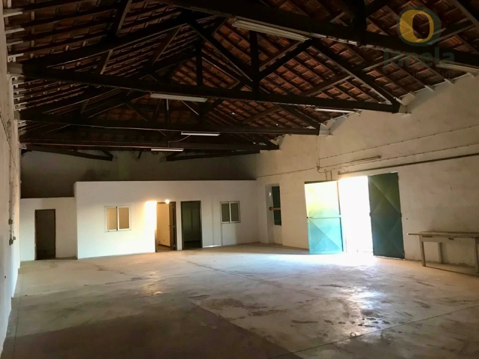 Armazém para Venda em Loule (São Sebastião) Foto 1