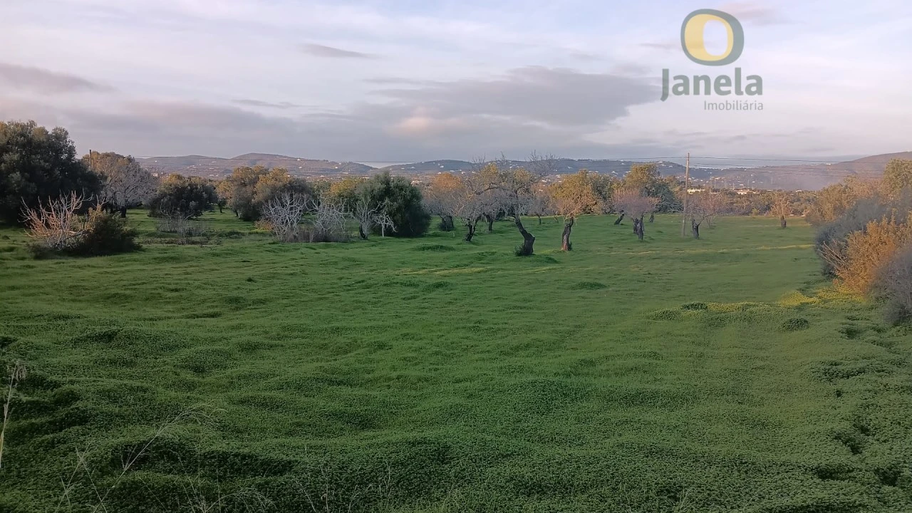 Terreno para Venda em Pechão Foto 1