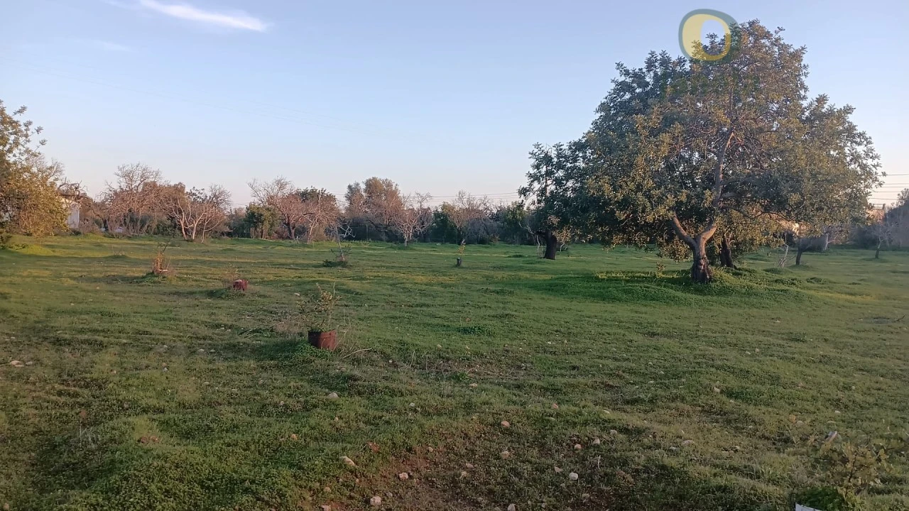 Terreno para Venda em Pechão Foto 3