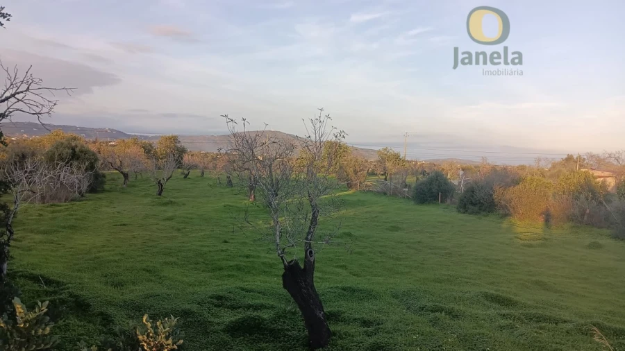 Terreno para Venda em Pechão Foto 2