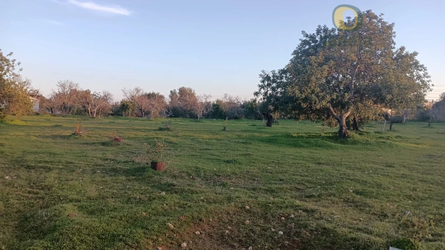 Terreno para Venda em Pechão Foto 3