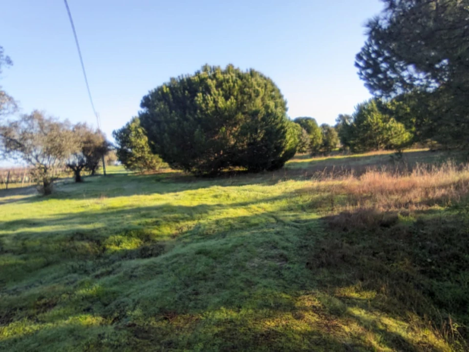 Terreno Agricola ou Rústico para Venda em Pegões Foto 9