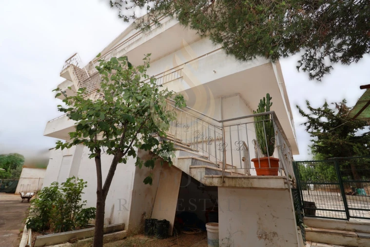 Quinta T3 para Venda em Loule (São Sebastião) Foto 3