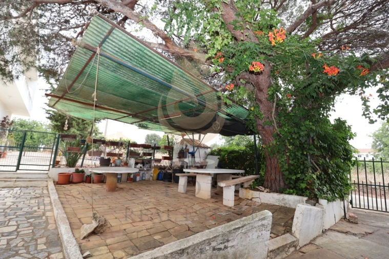 Quinta T3 para Venda em Loule (São Sebastião) Foto 14