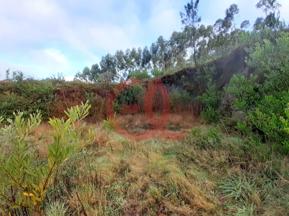 Terreno para Venda em Outeiro Foto 5