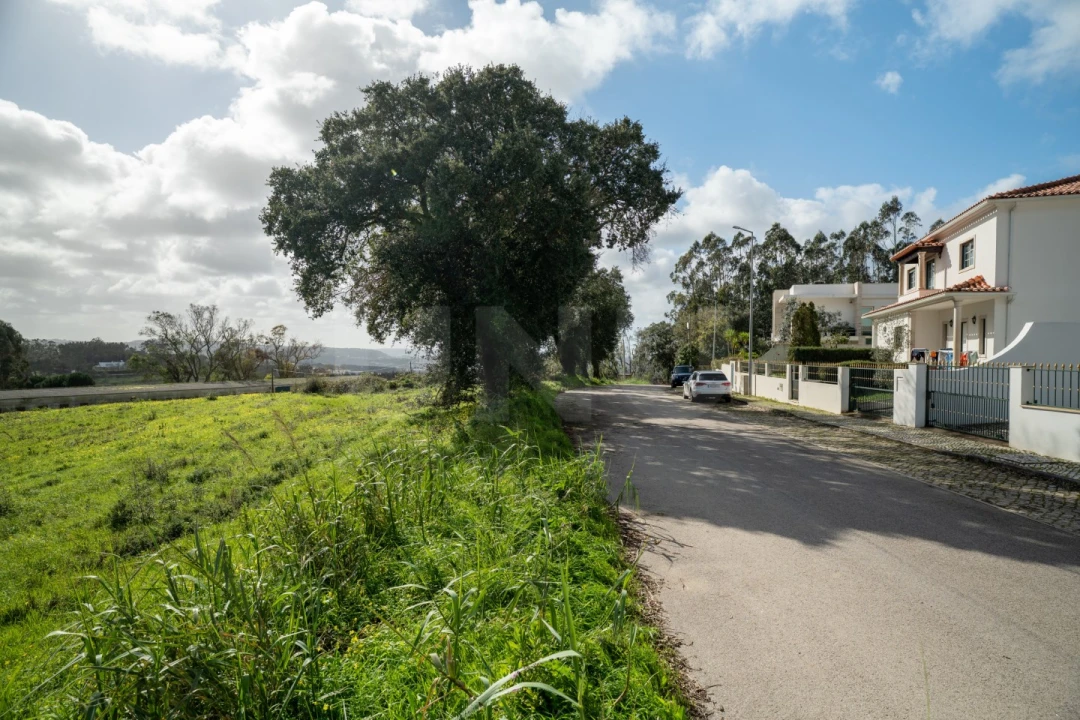 Terreno para Venda em Nossa Senhora do Pópulo, Coto e São Gregório Foto 1